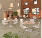 Chaises coque Selena sans crochets