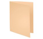 Chemise standard 170 g Exacompta Forever® 24 x 32 cm couleurs assorties - Paquet de 10