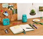 Stylo roller Pilot FriXion Ball effaçable à capuchon pointe 0,7 mm - Pochette de 15