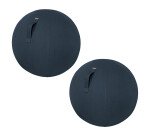 Pack 2 + 1 offert - Ballon ergonomique Leitz Ergo Cosy