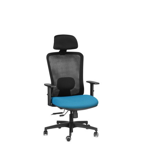 Sedia ergonomica semidirezionale 821 Sealife con poggiatesta e braccioli 1D