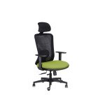 Sedia ergonomica semidirezionale 821 Sealife con poggiatesta e braccioli 1D