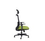 Sedia ergonomica semidirezionale 821 Sealife con poggiatesta e braccioli 1D