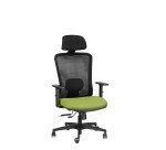 Sedia ergonomica semidirezionale 821 Sealife con poggiatesta e braccioli 1D