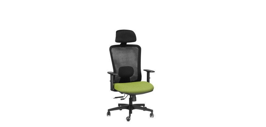Sedia ergonomica semidirezionale 821 Sealife con poggiatesta e braccioli 1D