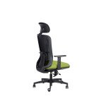 Sedia ergonomica semidirezionale 821 Sealife con poggiatesta e braccioli 1D