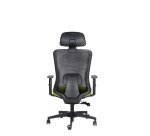 Sedia ergonomica semidirezionale 821 Sealife con poggiatesta e braccioli 1D