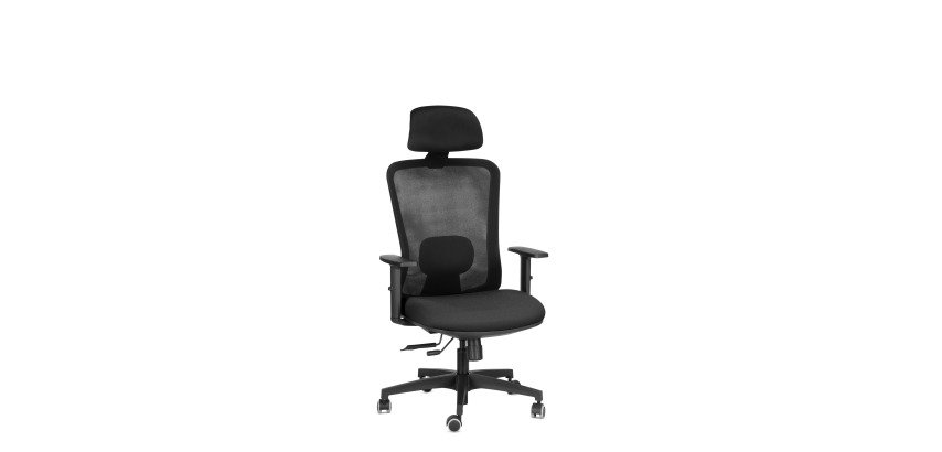Sedia ergonomica semidirezionale 821 Sealife con poggiatesta e braccioli 1D
