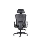 Sedia ergonomica semidirezionale 821 Sealife con poggiatesta e braccioli 1D