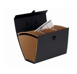 Briefcase organizer Bankers Box Handifile black