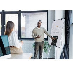 Paperboard - Kyoto Earth Bi-Office Fixed Lacquered Conference Easel