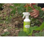 Savon noir prêt à l'emploi Spécial Jardin Marius Fabre - Spray de 500 ml