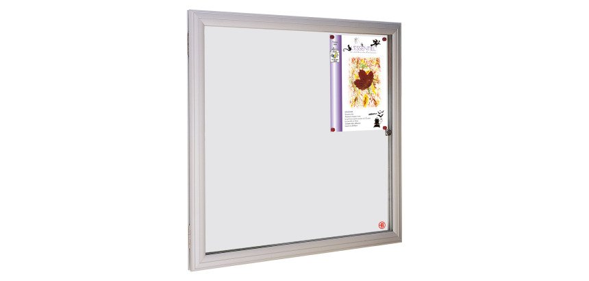 Outdoor display case Bruneau - 6 sheets