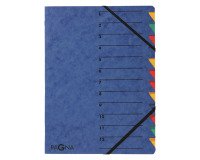 Trieur carte Pagna 'EASY' 12 divisions couleur