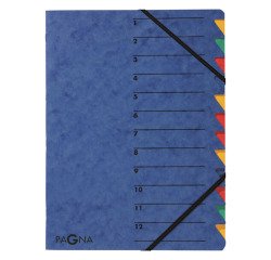 Trieur carte Pagna 'EASY' 12 divisions couleur