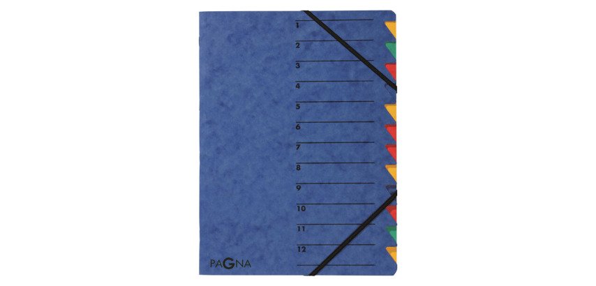 Trieur carte Pagna 'EASY' 12 divisions couleur