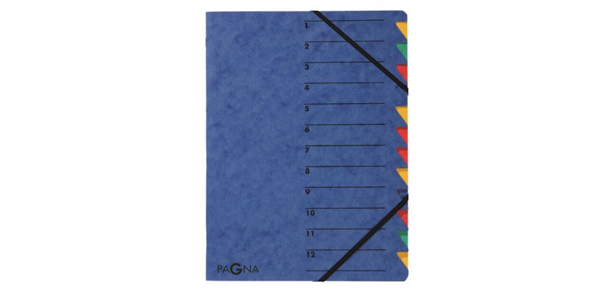 Trieur carte Pagna 'EASY' 12 divisions couleur