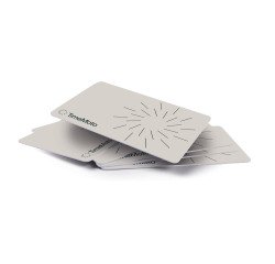 RFID-Badge RF-100 für die Zeiterfassungsuhr TimeMoto - Set mit 25 Stück