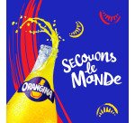 Orangina 1 L - Carton de 12