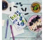 Blueberry fruit sticks NA - 40 g packet