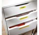 Ruban polyester Dymo D1 19 mm S0720880