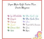 Stylo feutre Paper Mate Flair Tropical écriture moyenne - Pochette de 12