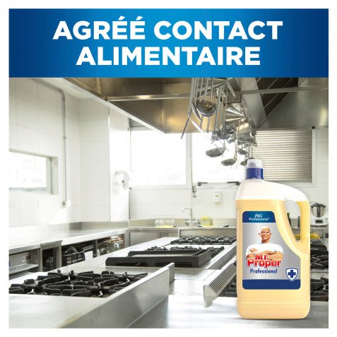 Disinfectant floor and surface cleaner Mr. Clean Professional - 5 L canister