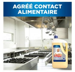 Reinigungsmittel Desinfektion Böden und Oberflächen Mr. Clean Professional - Kanister 5 L