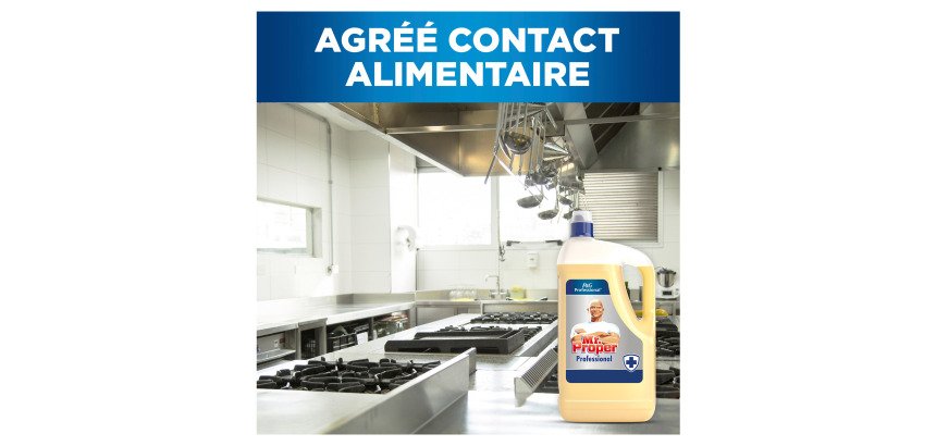 Nettoyant désinfectant sols et surfaces Mr Propre professional - Bidon 5 L