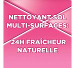 Nettoyant multi-usages Ajax Ecolabel fraîcheur pivoine - Flacon de 1,25 L