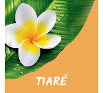 Gel douche Tahit Monoï 250 ml - Lot de 2