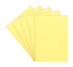 Sous-chemise standard 60 g 22 x 31 cm couleur - Paquet de 100