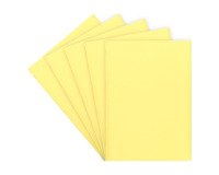 Standard subfolder 60 g 22 x 31 cm color - Pack of 100