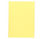 Sous-chemise standard 60 g 22 x 31 cm couleur - Paquet de 100