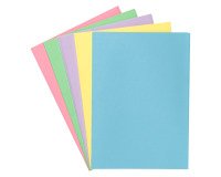 Standard folder 160 g 24 x 32 cm color - Pack of 100