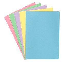 Sous-chemise standard 60 g 22 x 31 cm couleur - Paquet de 100