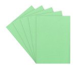 Standard subfolder 60 g 22 x 31 cm color - Pack of 100