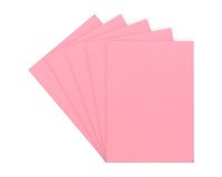 Chemise standard 160 g 24 x 32 cm couleur - Paquet de 100