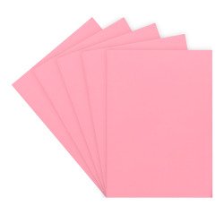 Chemise standard 160 g 24 x 32 cm couleur - Paquet de 100