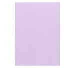 Sous-chemise standard 60 g 22 x 31 cm couleur - Paquet de 100