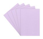 Chemise standard 160 g 24 x 32 cm couleur - Paquet de 100