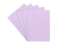 Chemise standard 160 g 24 x 32 cm couleur - Paquet de 100