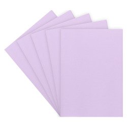 Chemise standard 160 g 24 x 32 cm couleur - Paquet de 100