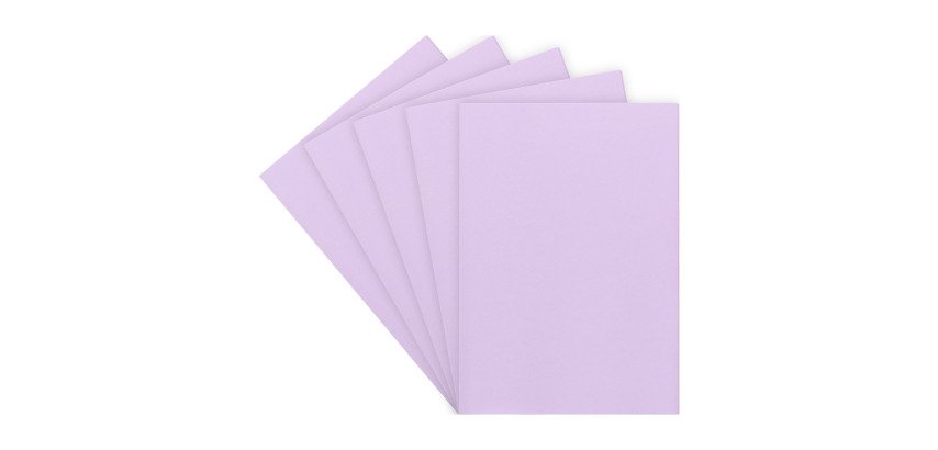 Chemise standard 160 g 24 x 32 cm couleur - Paquet de 100
