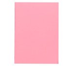 Sous-chemise standard 60 g 22 x 31 cm couleur - Paquet de 100