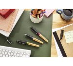 Stylo plume Stabilo Grow écriture moyenne