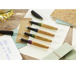 Stylo bille Stabilo Grow à capuchon pointe 0,5 mm - Encre bleue