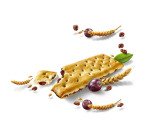 Sultana Fruitbiscuits Naturel x 3 - Étui de 43 g