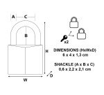 Cadenas à clé en laiton Master Lock - largeur 40 mm - Lot de 2