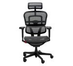 Chaise ultra-ergonomique ERGOHUMAN ULTIMATE avec accoudoirs et appuie-tête réglables